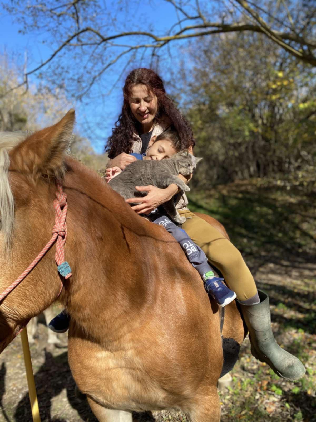 Изображение на блог